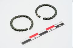Foto von Bronzering (NHMW-PRAE-024172a)